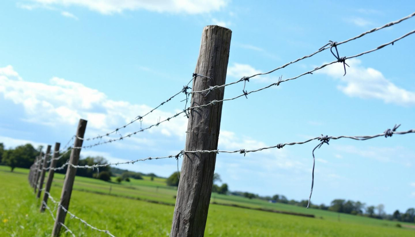 Impact environnemental des clôtures électriques sur les terres agricoles